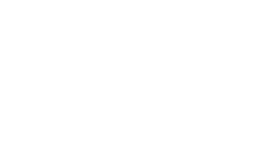 Made In NZ Logo